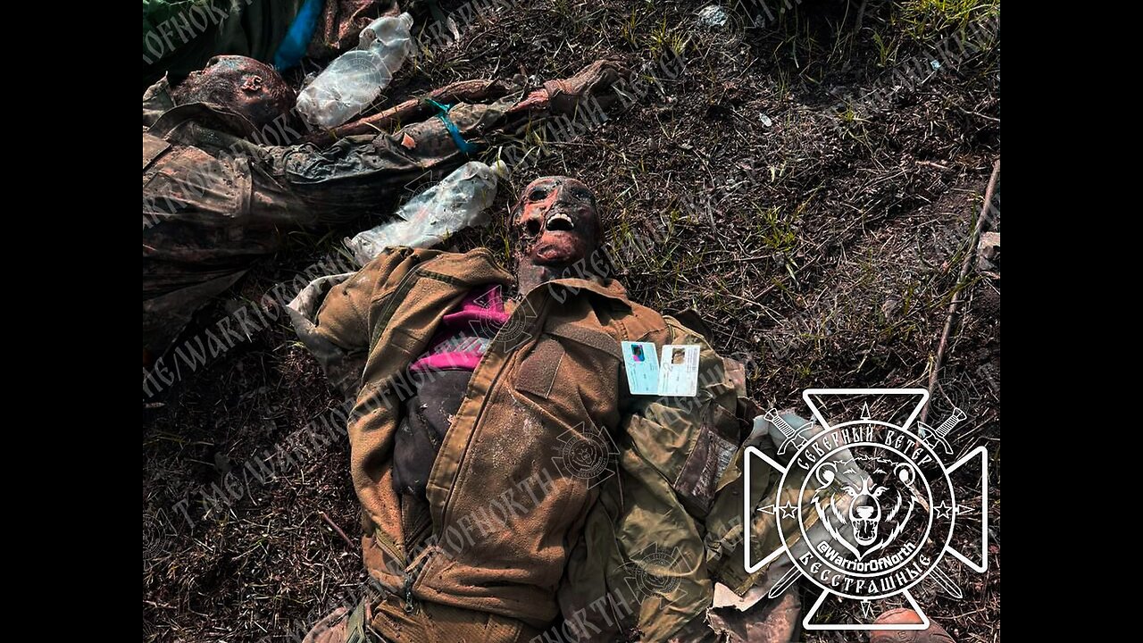 Война в Украине часть 385