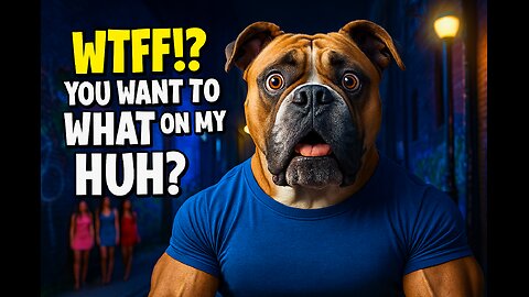 Standup Boxer WTF!? is a Hang Down #funnyshorts #talkingdog