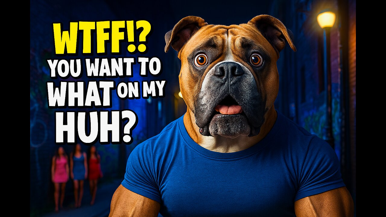 Standup Boxer WTF!? is a Hang Down #funnyshorts #talkingdog