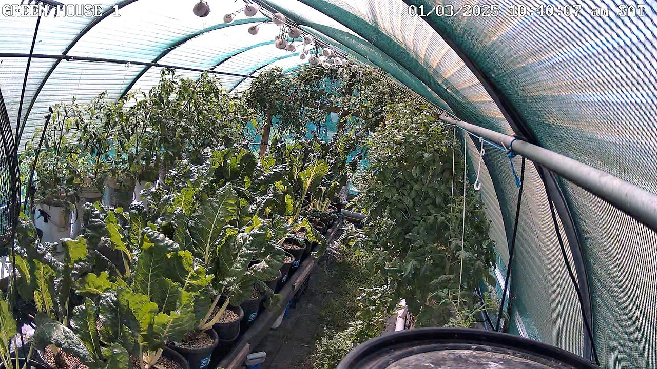 Greenhouse 1 Timeplapse Ending 22-04-2025