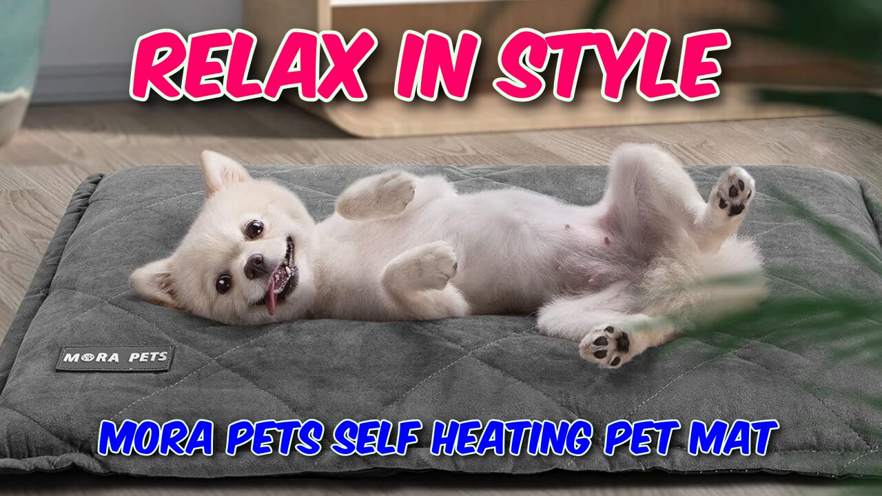 MORA PETS Self Heating Pet Mat Review