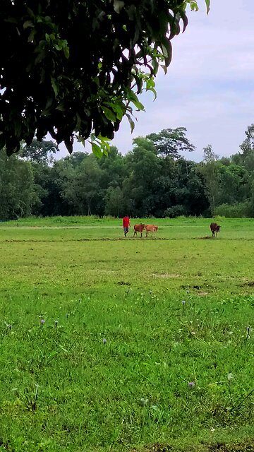 Samsung S20 FE far away from me.