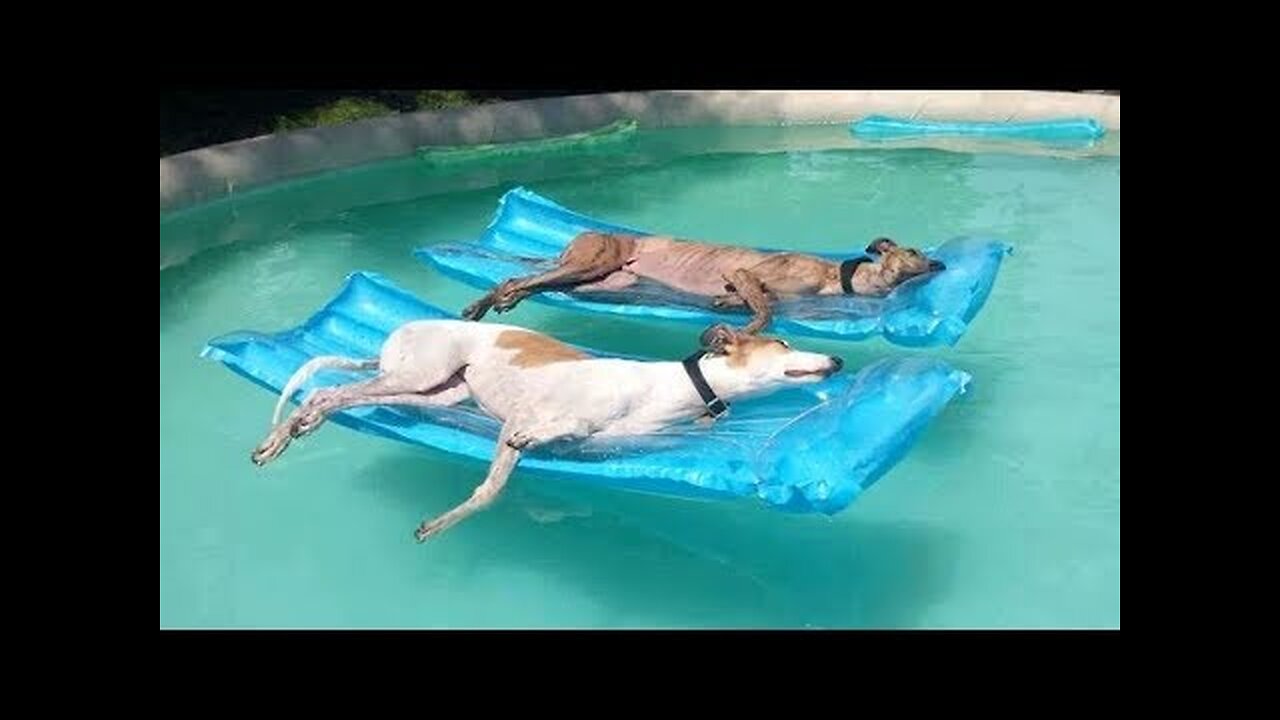 FUN with WATER - Are you ready TO LAUGH AT FUNNY VIDEOS?!