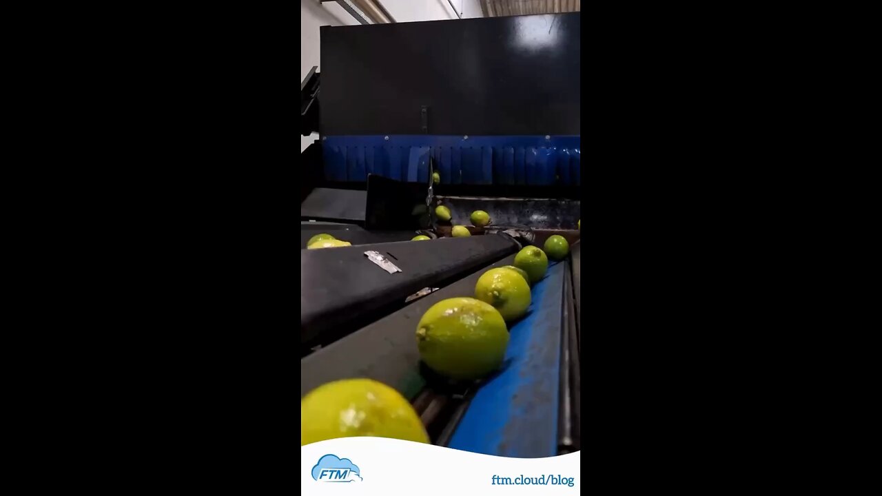 Reefer = Refrigerated Container. A cold chain essential.