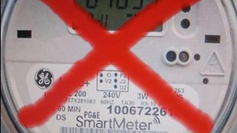 "Unraveling the Impact of Smart Meters on Human Health: A Deep Dive into Cellular Level"