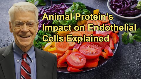 Discussion on the Impact of Animal Protein on Endothelial Cells and Whether