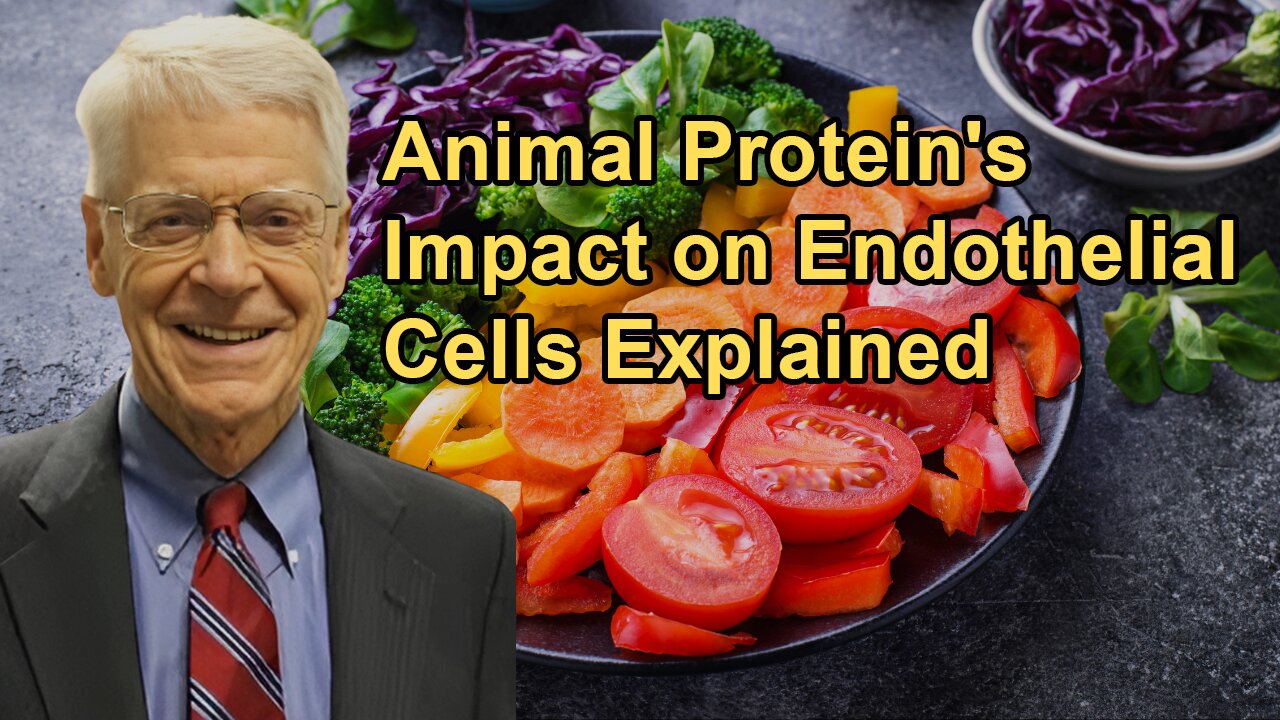 Discussion on the Impact of Animal Protein on Endothelial Cells and Whether