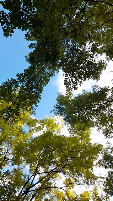 20251102. God Loves South Korea.