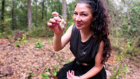 Planting Hundreds of Garlic VLOG