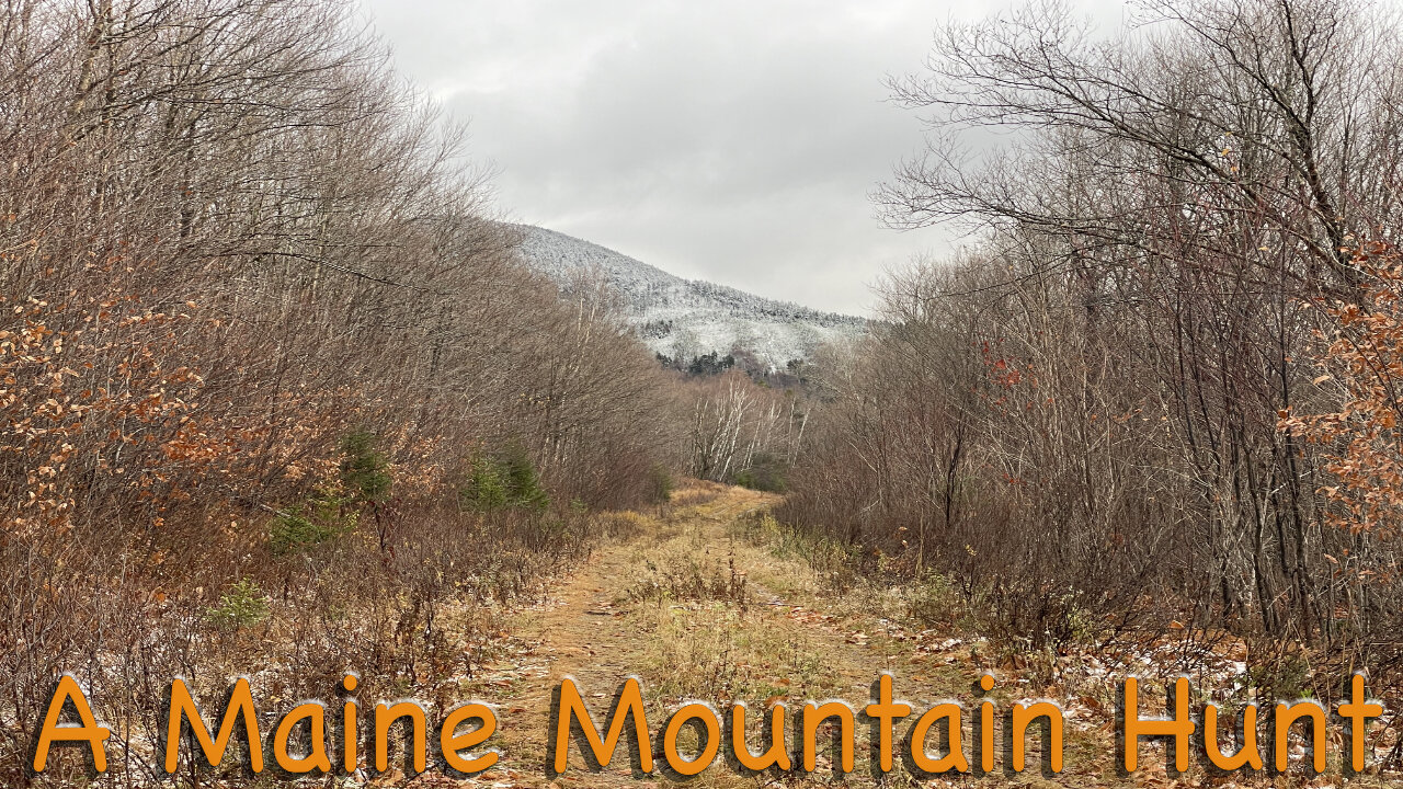 A Maine Mountain Hunt