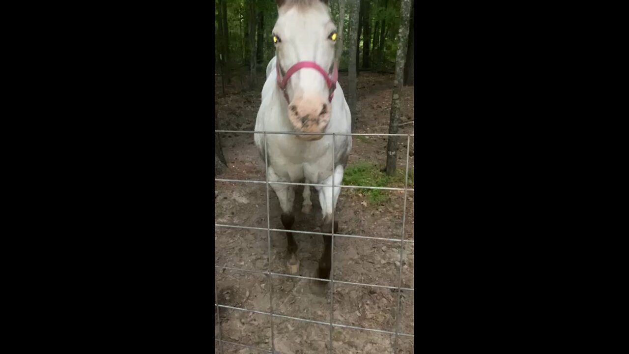 Dusty Rose!
