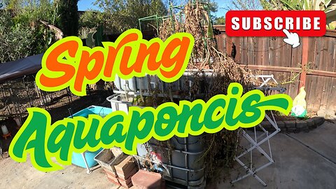 Tomato and Cucumber Planting | Springtime | Aquaponics