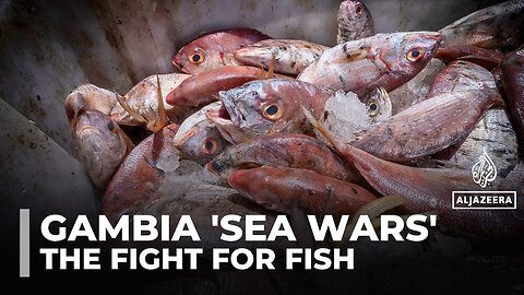 Gambian fishermen battle foreign trawlers as dwindling fish stocks threaten livelihoods
