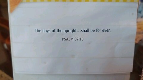 How to set a manual wind Watch .