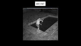 Unknown Creature Possesses the Guy Terrifying Footage!