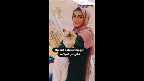 See how her cat was before the war and how she became after the siege.