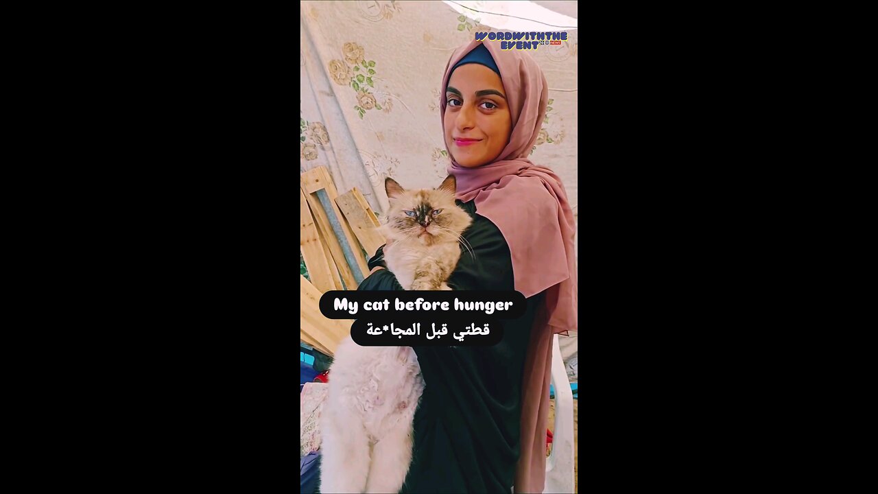 See how her cat was before the war and how she became after the siege.