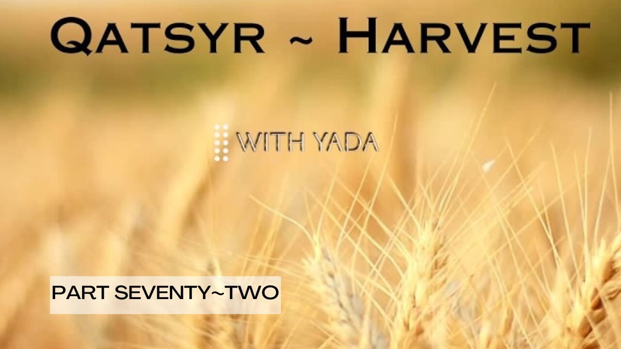 Qatsyr ~ Harvest Part Seventy~Two 28 August 2025