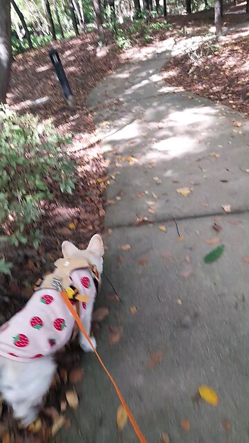 20251017. God Is My Father.