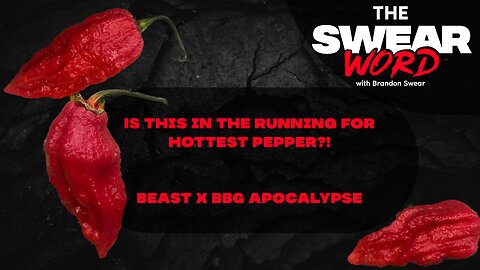 Is This In The Running For Hottest Pepper?! Beast x BBG Apocalypse