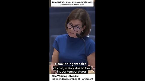 Elsa Widding - Low electricity prices or vague climate goals