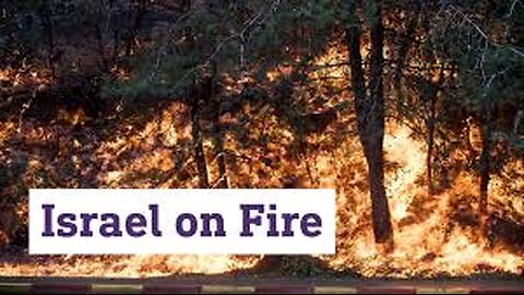 Israel Is On Fire| The Worst Fire In The History Of Israel| They Are Begging For International Help