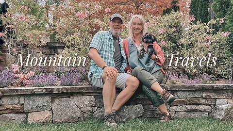 Escaping to the Mountains | Our Puppy's First Road Trip | Nature, Thrifting & Coffee