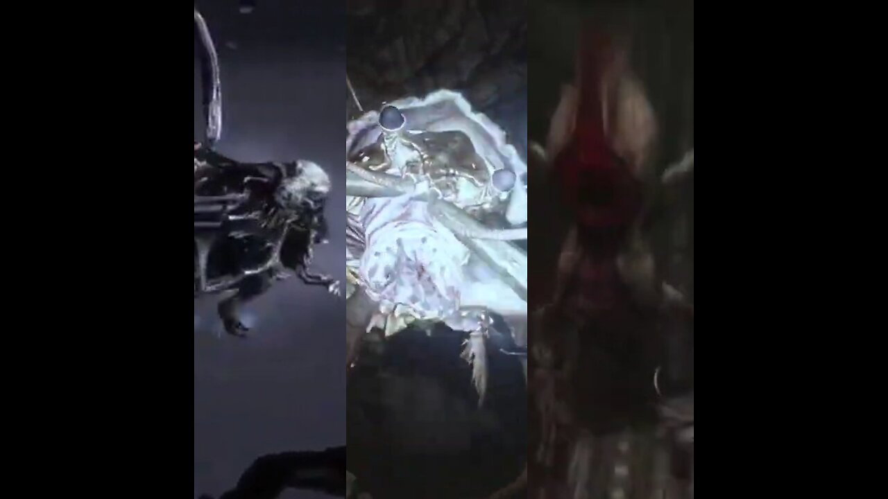 These Creatures Share The Same Sounds