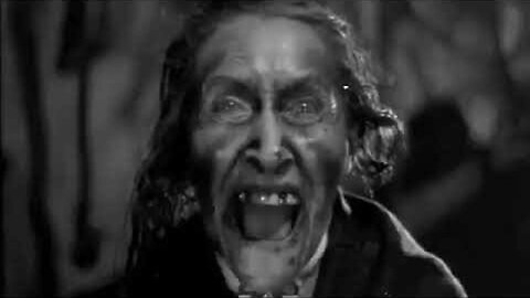 Sh! The Octopus-Hugh Herbert, Allen Jenkins, Elspeth Dudgeon-1937 IMDb 5.4/10