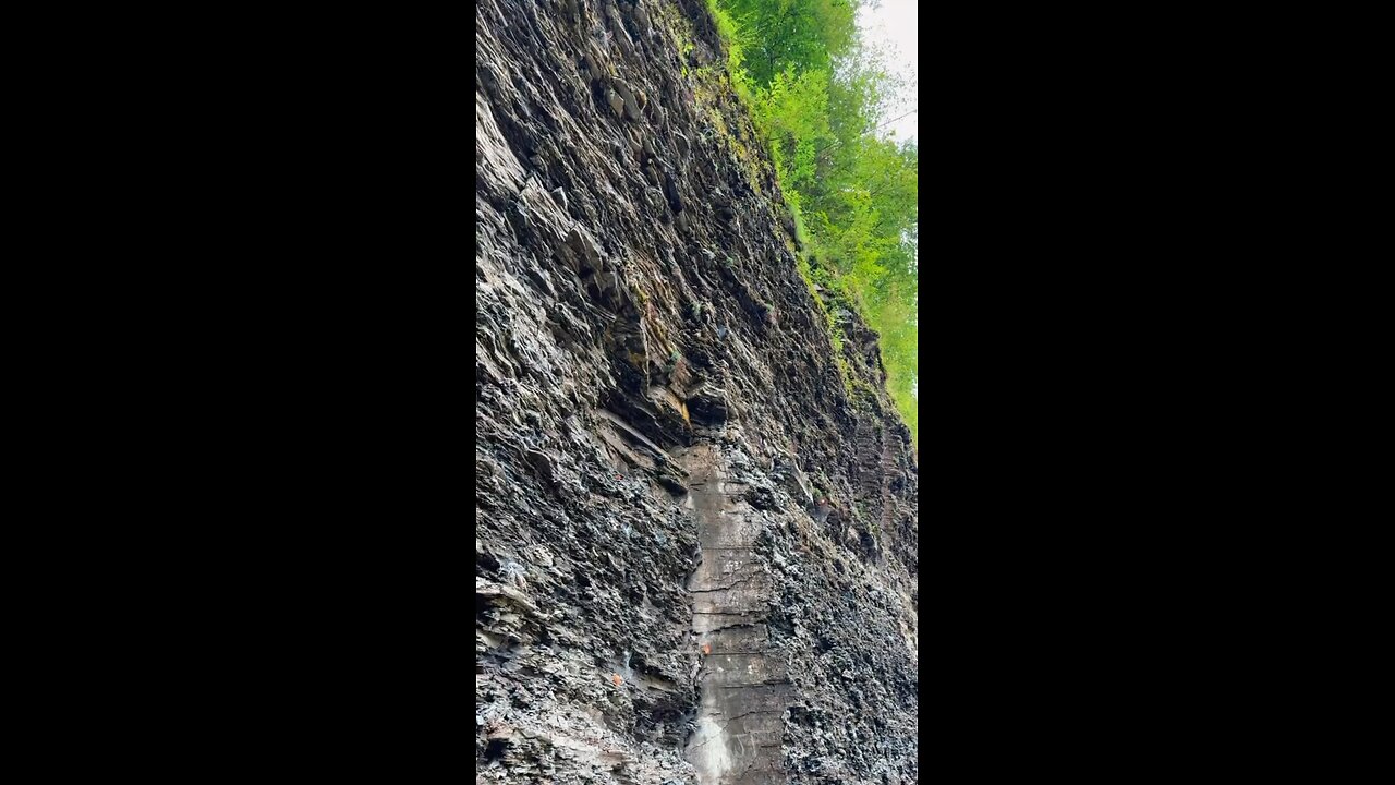 HIDDEN PARADISE