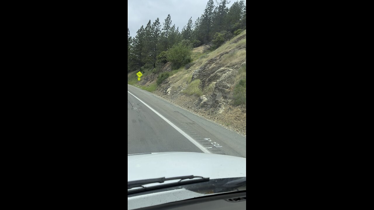 Shasta Lake