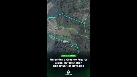 This New Reforestation Map Could Help Remove 1.5 Billion Tonnes of CO2