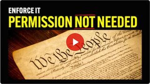 Take Back Your Power. How to Enforce the Constitution, Whether the Government Likes it or Not