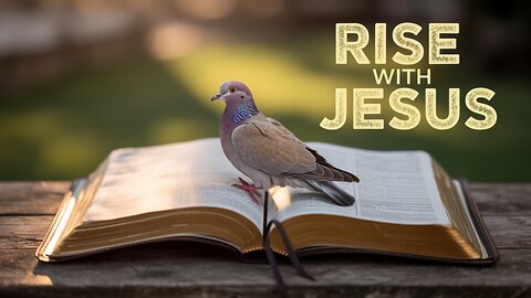 Rise with Jesus - Morning Affirmation and Meditation for a Faith-Filled Day