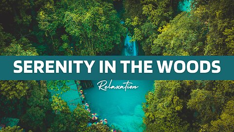 Serenity in the Woods | 4K Nature Relaxation Music for Mindfulness, Calm & Inner Peace