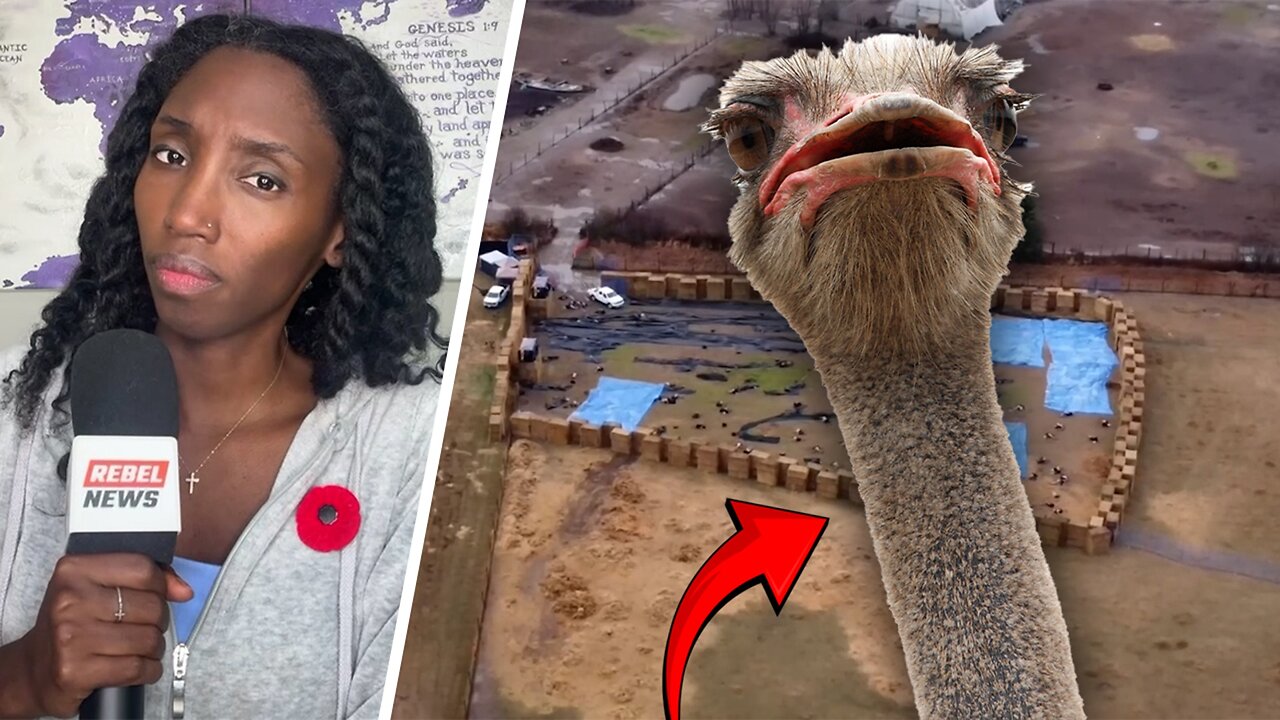 Humane or Horror? Whistleblower calls CFIA ostrich cull 'barbaric' and 'inhumane'