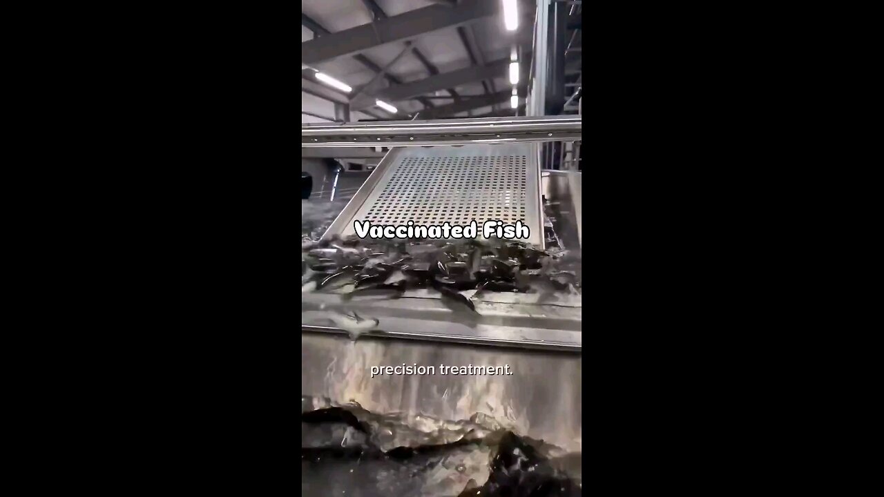 vaccinated fish??