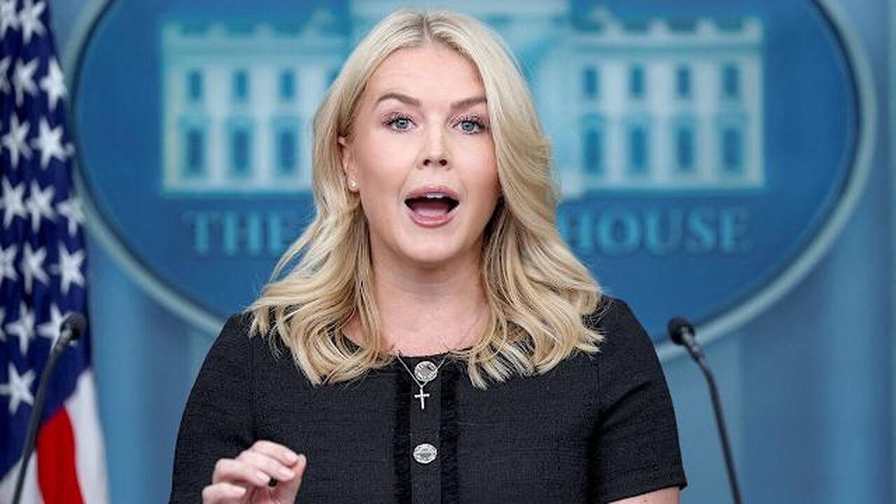 Karoline Leavitt calls out Jen Psaki for 'disrespectful' comments on Minneapolis shooting