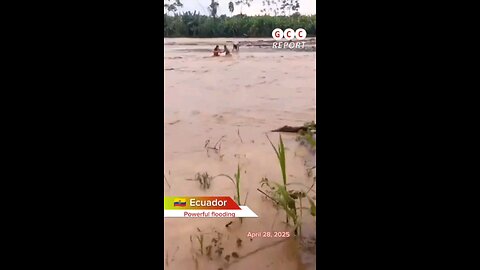 #Ecuador #LosRíos #LuloRiver #Flooding #Rescue #Climate #destruction #anomaly #climatecrisis