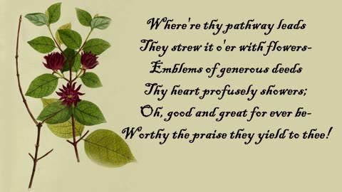 Calycanthus - The Language of Flowers