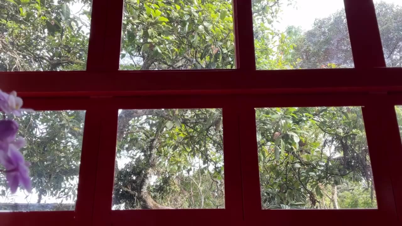 #point Day 7 [30-Day Dance with 30-Seconds]