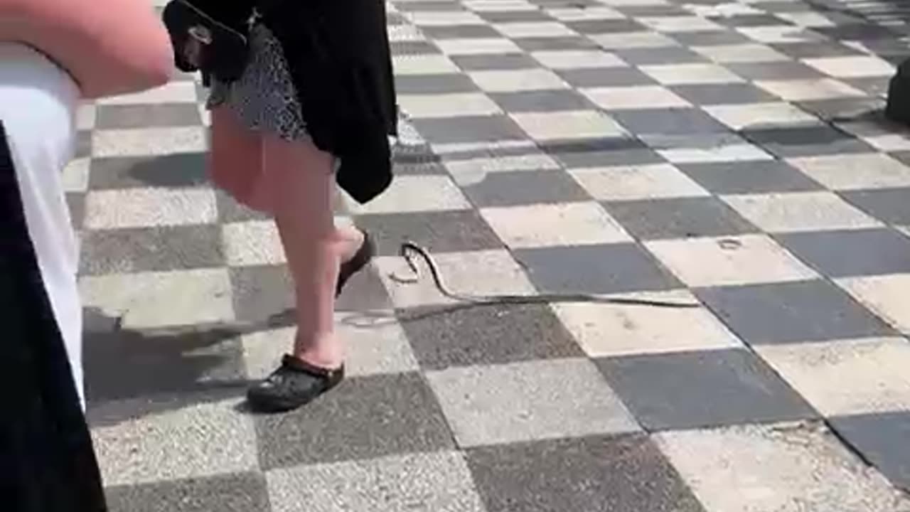 Pranking Our Cousin With a Fake Snake