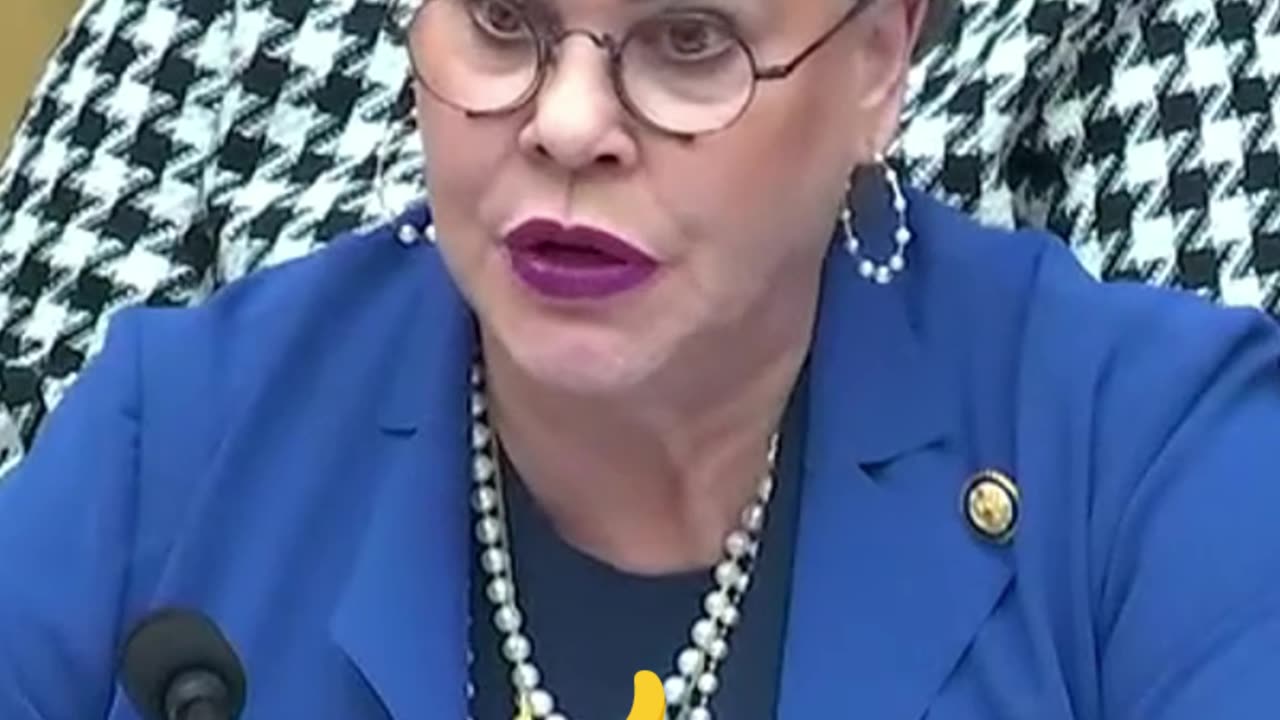 Congresswoman Hageman Exposes Immigrants Using Surrogate Moms for U.S. Citizenship!
