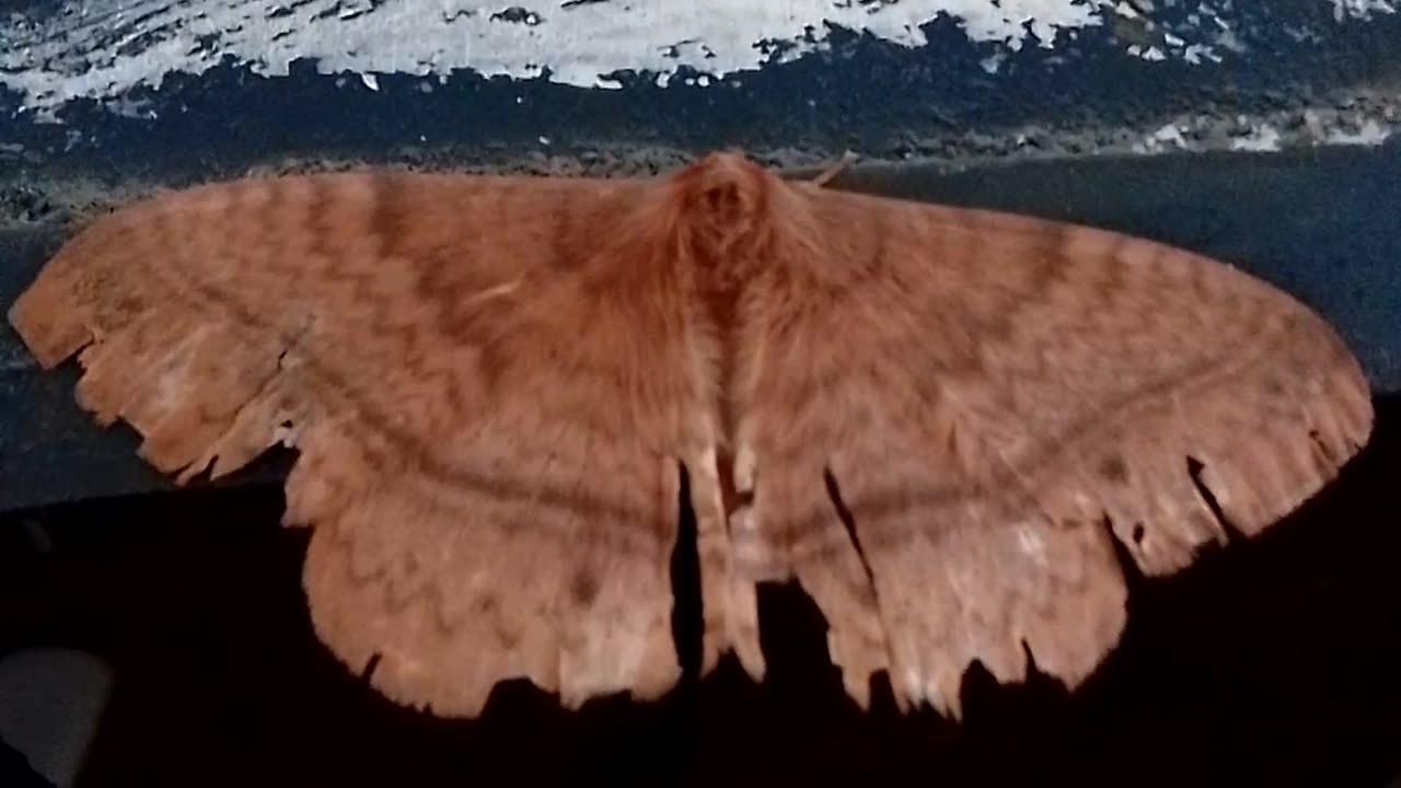 Beautiful nature