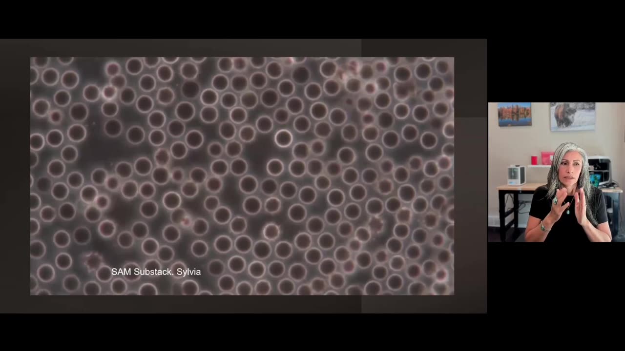 Synthetic Red Blood Cells being broken down by Methylene blue