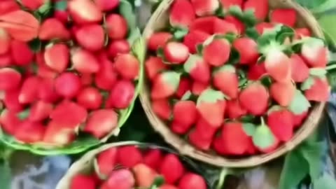 Amazing Fruits Satisfying Rarely Seen #fruit #shorts #nature