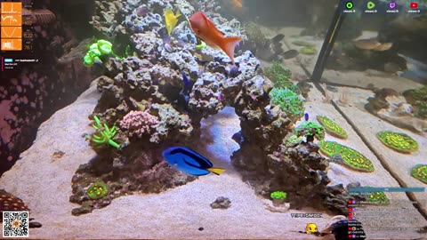 24/7 Real Live Reef Stream