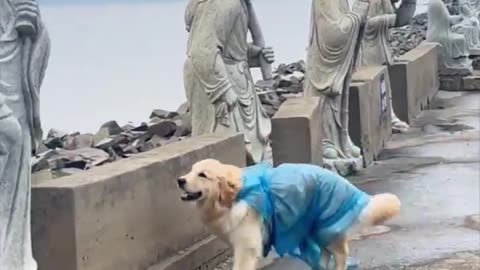 Greeting the statues.. 😅