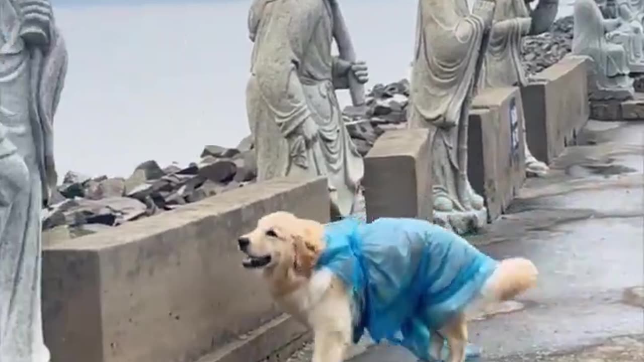 Greeting the statues.. 😅