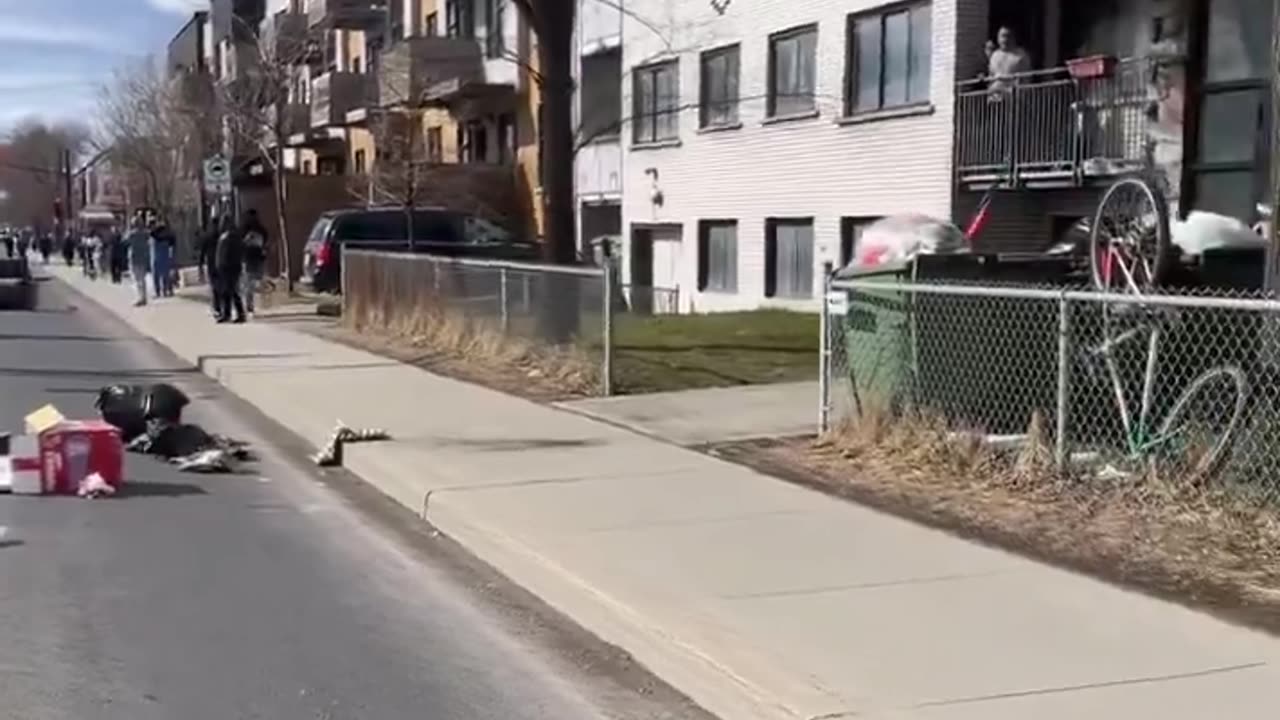 Do you think these newcomers who are throwing garbage into the streets are doctors